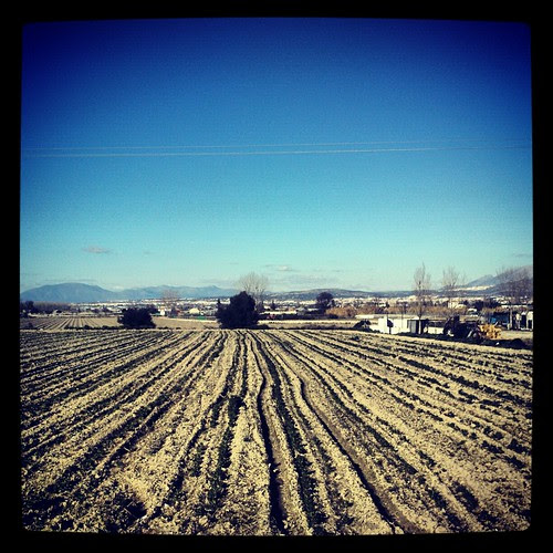 Untitled by Javier Satori