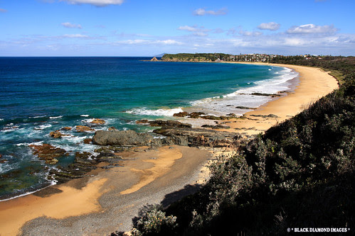  South Australia · Blackhead 