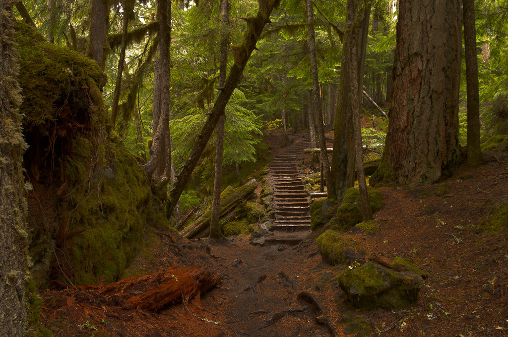 20121019-K20A6012.jpg
