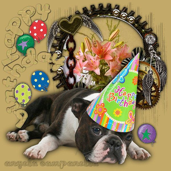 Angela Campanella- Happy birthday