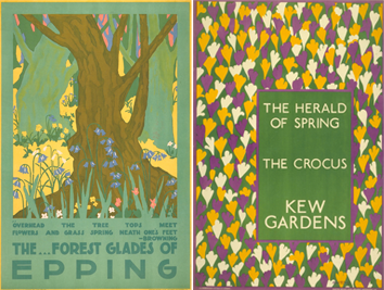 Crocus_kew_v2