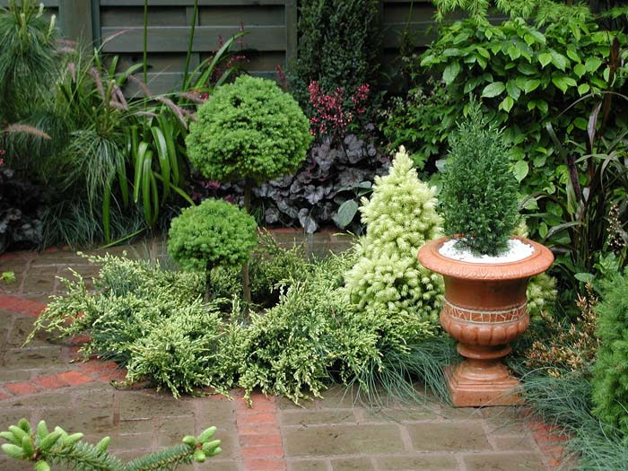 Small Garden Design