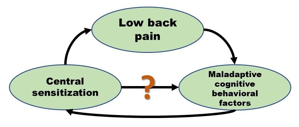 Pain in Motion