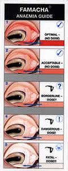 The jaeger eye chart is a small, handheld card used to test a patient's near vision, according to allaboutvision.com. basic goat health and husbandry goat spots