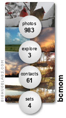 bcmom. Get yours at   bighugelabs.com/flickr