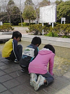 年子ちゃん日記 葉っぱ船