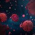 New Corona Virus Variant - B.1.1.529 | Italy | 