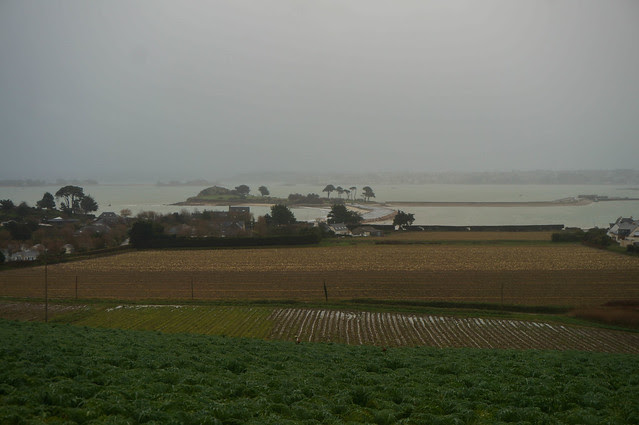 Brittany-5-2.jpg