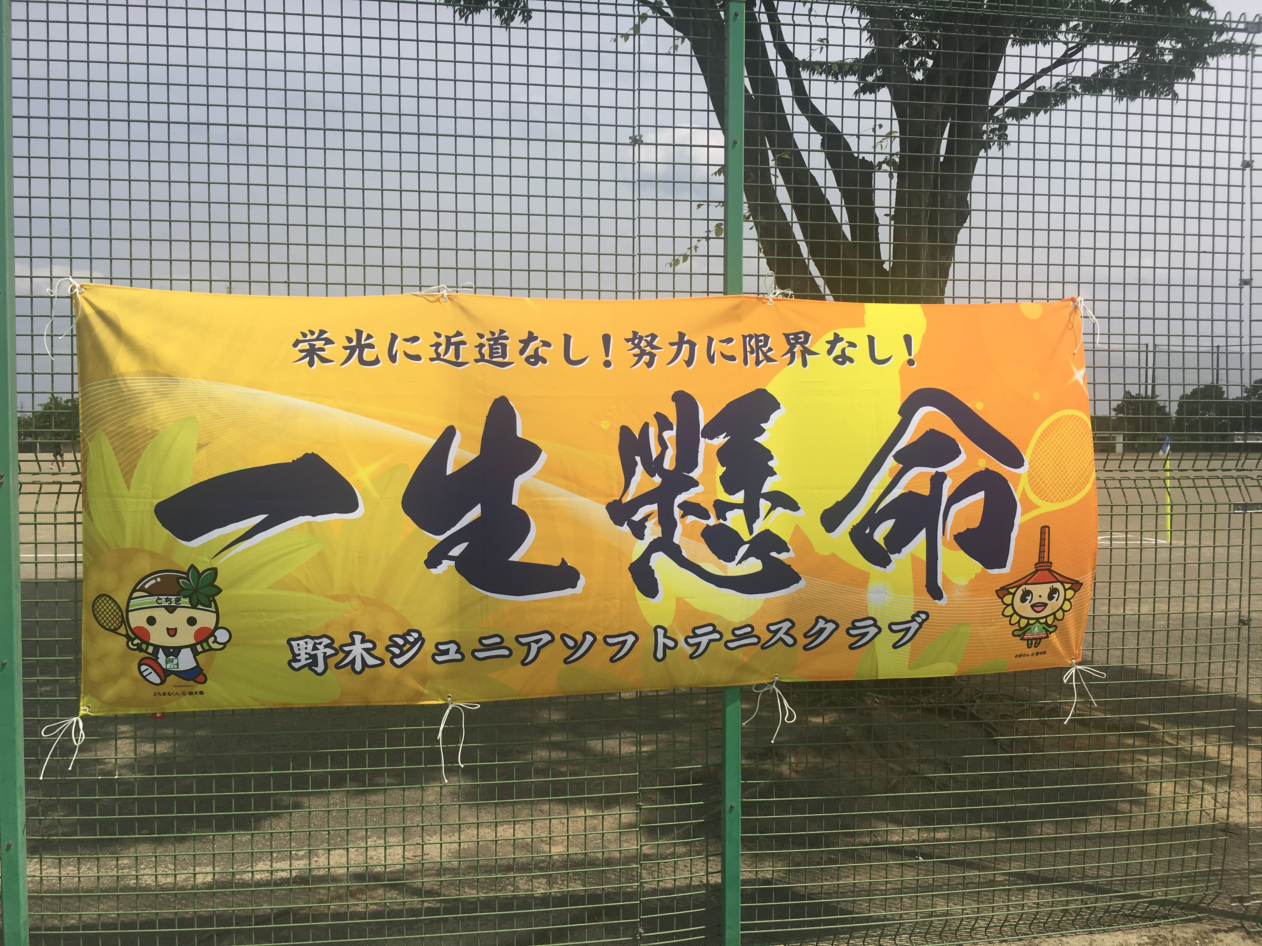 野木ジュニアの 横断幕 が完成しました 野木ジュニアソフトテニスクラブ