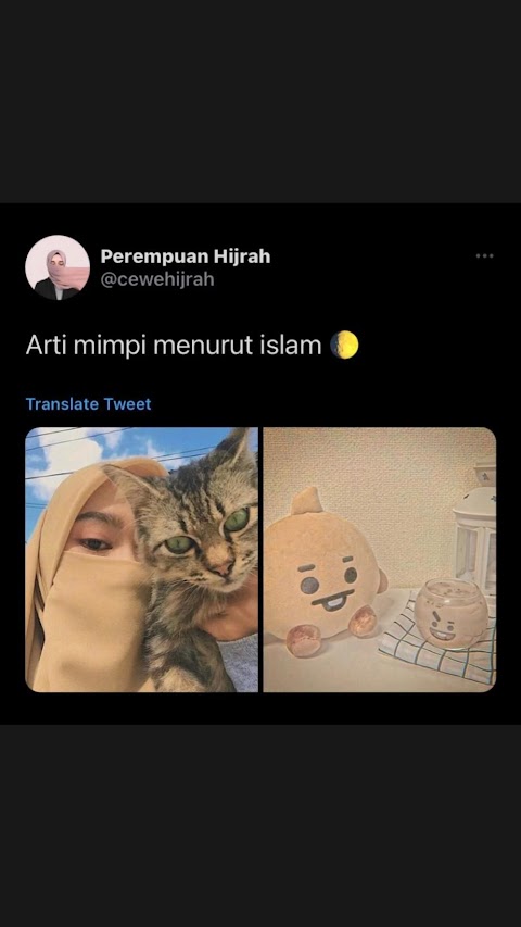 arti mimpi kucing putih