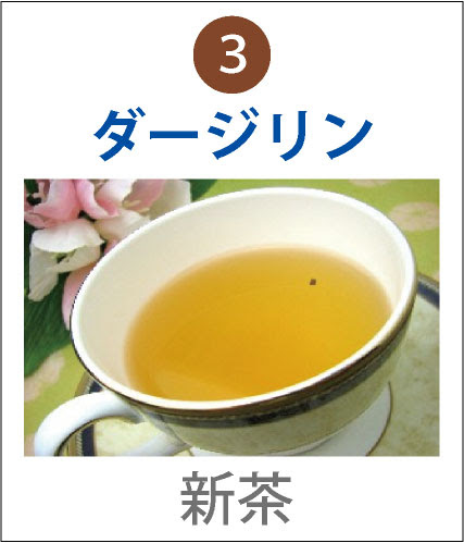 紅茶 種類 一覧 人気がある紅茶の産地別の特徴や味の違い