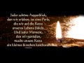 Wünsche Zum Geburtstag Schwiegersohn