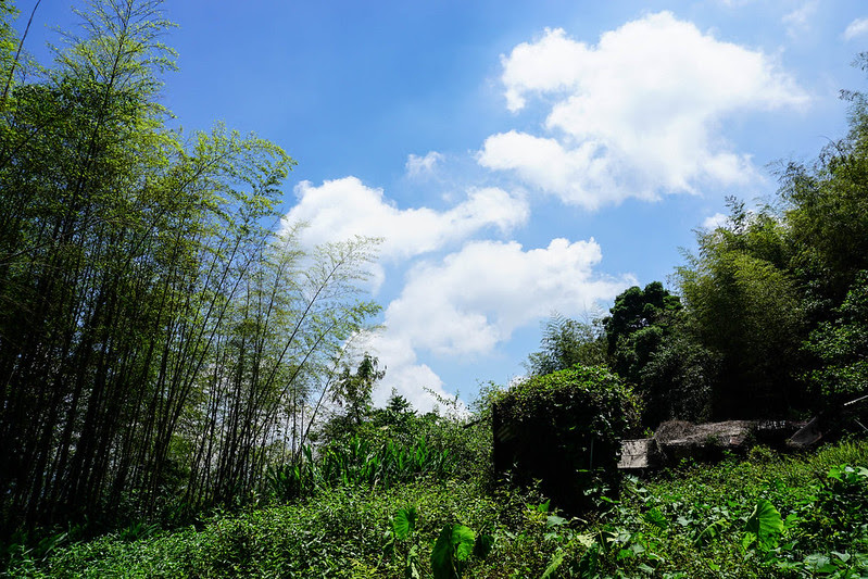 DSC05014 DSC05014