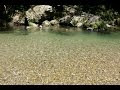 千葉 バーベキュー 川遊び 718331-千葉 バーベキュー 川遊び