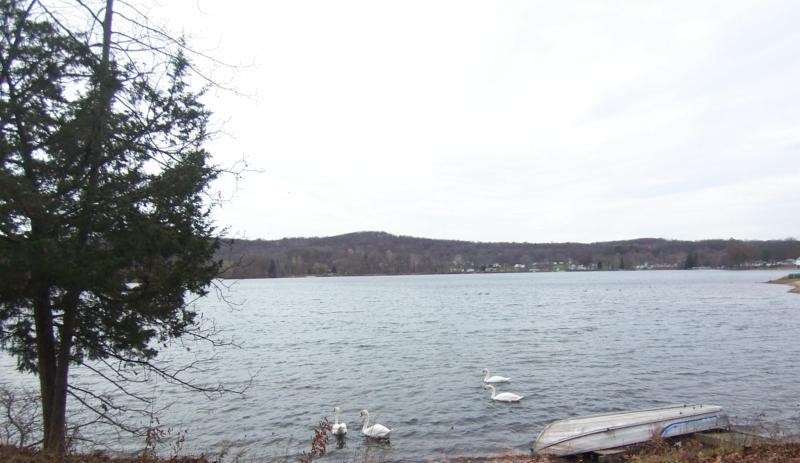 Lake - Dutchess County NY