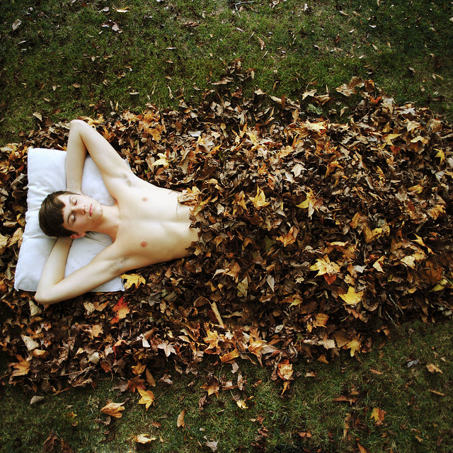 Hibernation.