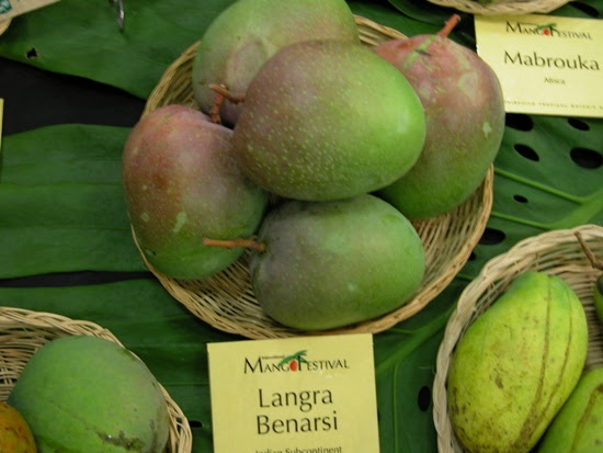 Langra Mangoes