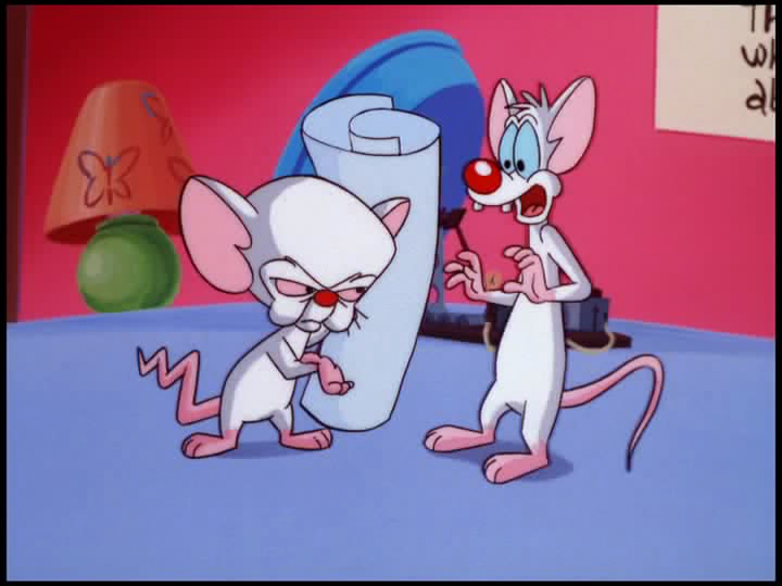 Pinky Elmyra & Brain the Comp (2014) DVDR1 [Audio Latino