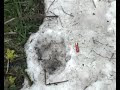 Охота, отдых на Сахалине, часть 1