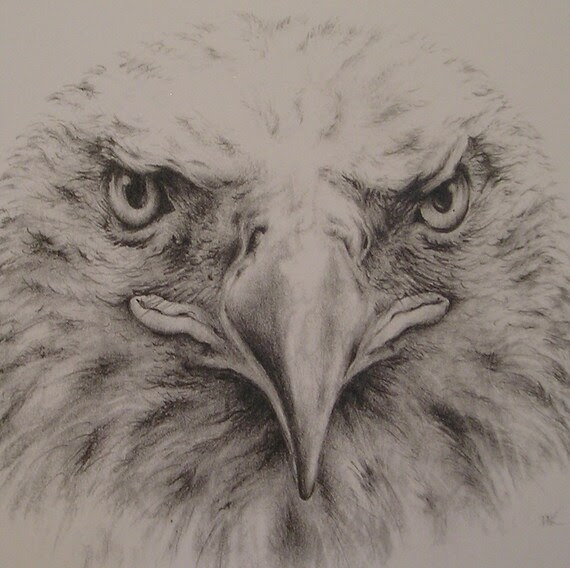  Bald Eagle Pencil Drawing with Mat