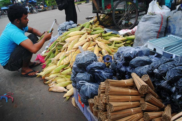 Jagung Siap Meriahkan Pergantian Tahun