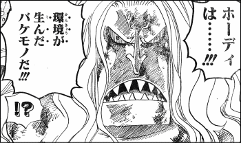 ワンピース 超クソ熱い件 ヤマカム