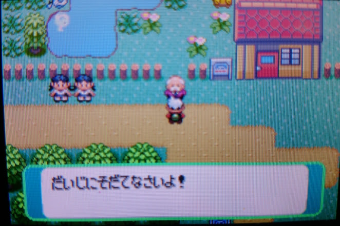 にわか勢のポケモン雑記
