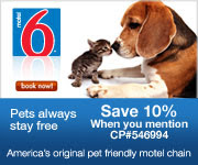 Pets always stay free at Motel6. Use CP546994 