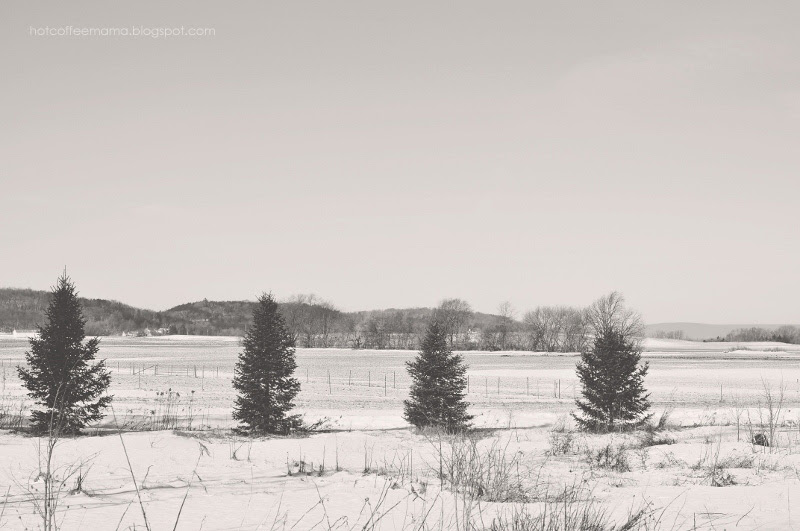 DSC_0523re (800x531)