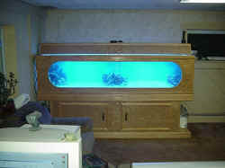 Good Aquarium Setup For A Kitchen ~ Modern Design Pictures