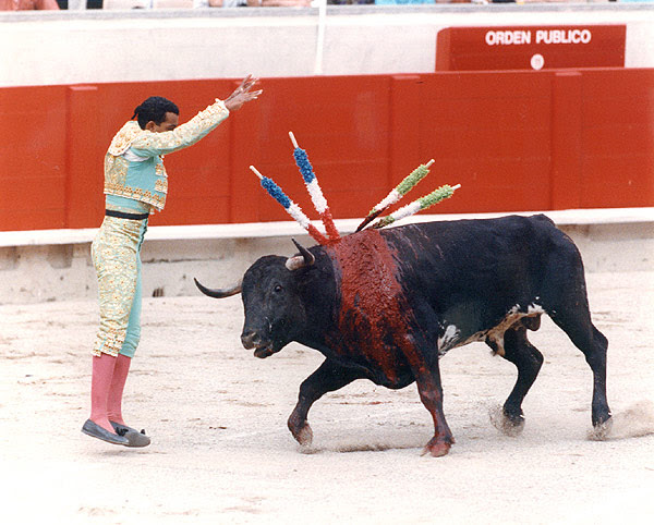 http://www.stopbullfighting.org.uk/graphics/banderillas.jpg