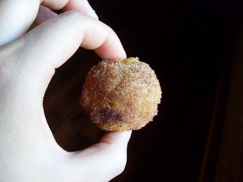 Baked Pumpkin Donut Holes
