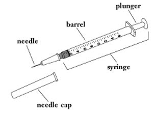 Parts of Syringe Diagram | Quizlet
