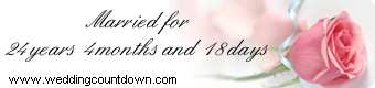 wedding tickers