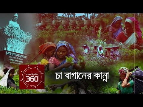 চা বাগানের কান্না | Investigation 360 Degree | 