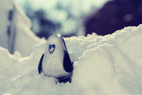 Penguin