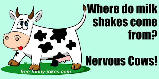 What Do You Call A Cow With No Legs