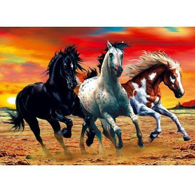 chevaux au galop