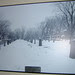 DSCN5635