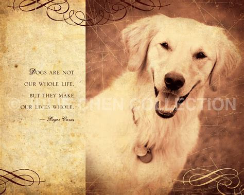 inspirational quotes  dog lovers quotesgram