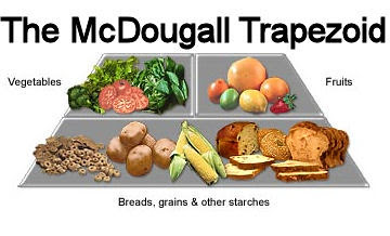 Mcdougall Food Pyramid