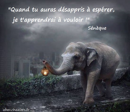 Citation Seneque Abenchaalors Fr