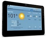 Viewsonic G-Tablet with 10