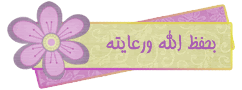 اثير الملوخية على جسم الانسان ، الأهمية الغذائية للملوخية ، فوائد الملوخية