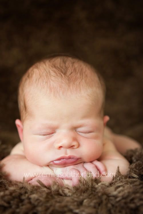 Baby Kate