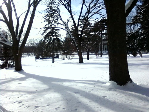 blanchard lawn