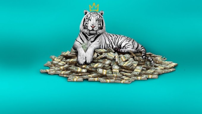 Watch Online The White Tiger 2021 Full Movie Online Free 4K ULTRAHD