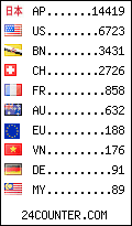 visitors by country counter