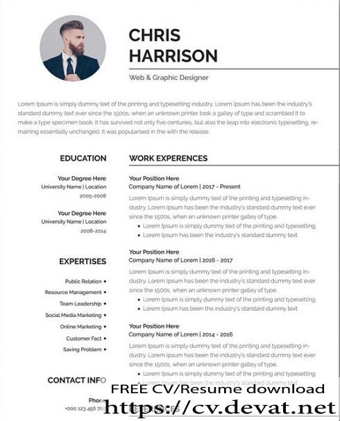Free Professional Resume Template in Word Format - CV ...
