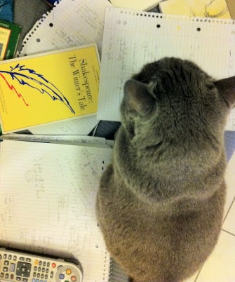 The Cool Cat